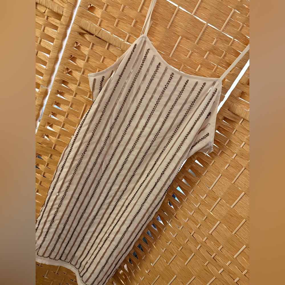 Tobi Beige Shift Dress with Brown Beaded Stripes